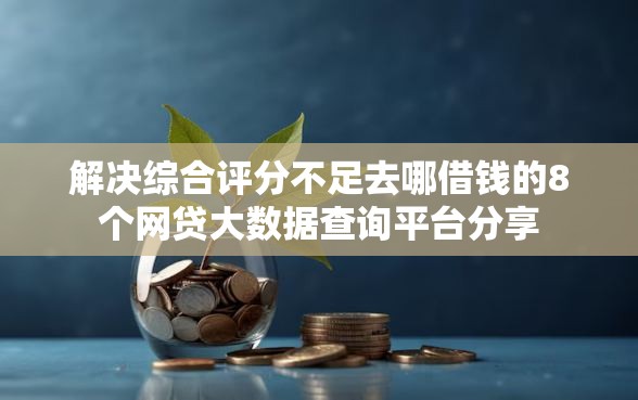解决综合评分不足去哪借钱的8个网贷大数据查询平台分享
