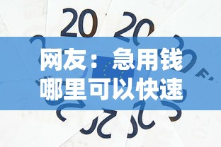 网友：急用钱哪里可以快速借到？求介绍几款小额贷款平台排名不分先后