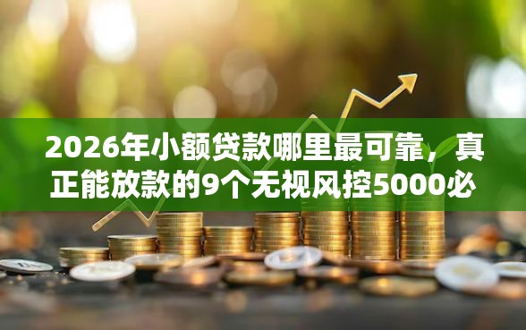 2026年小额贷款哪里最可靠，真正能放款的9个无视风控5000必下口子推荐