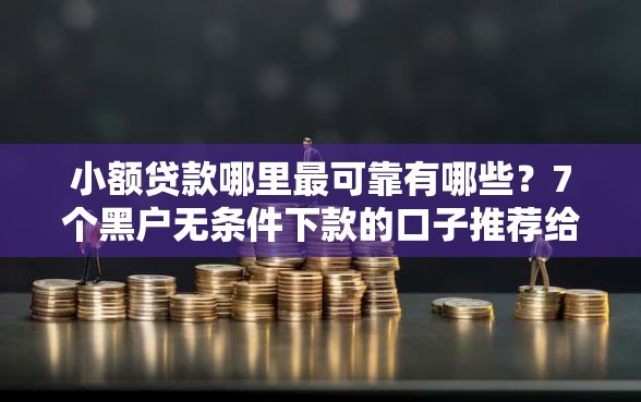 小额贷款哪里最可靠有哪些？7个黑户无条件下款的口子推荐给你