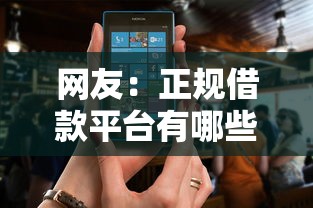 网友：正规借款平台有哪些？求介绍几款征信花了可以用的借款平台