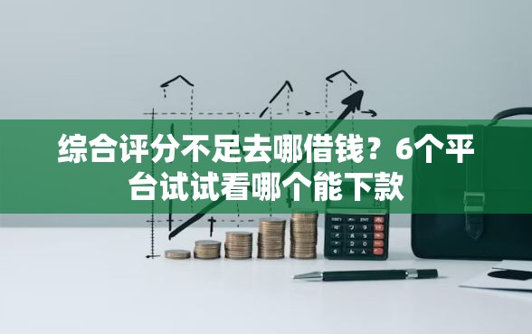 综合评分不足去哪借钱？6个平台试试看哪个能下款