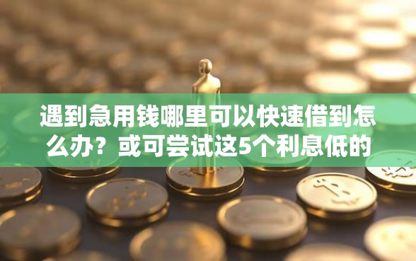 遇到急用钱哪里可以快速借到怎么办?或可尝试这5个利息低的小额贷款平台 遇到急用钱哪里可以快速借到怎么办?或可尝试这5个利息低的小额贷款平台