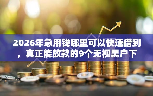 2026年急用钱哪里可以快速借到，真正能放款的9个无视黑户下款口子名单大全推荐