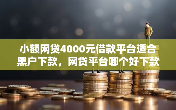 小额网贷4000元借款平台适合黑户下款，网贷平台哪个好下款的6个平台介绍