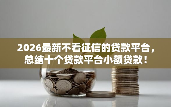 2026最新不看征信的贷款平台，总结十个贷款平台小额贷款！