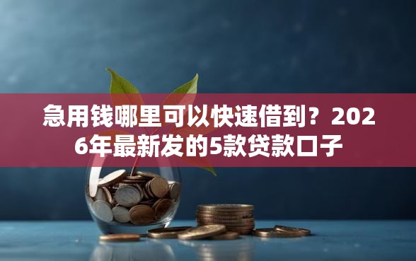 急用钱哪里可以快速借到？2026年最新发的5款贷款口子