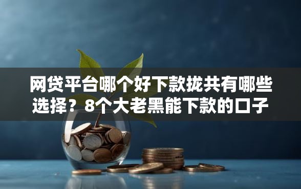 网贷平台哪个好下款拢共有哪些选择？8个大老黑能下款的口子详解