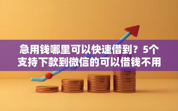 急用钱哪里可以快速借到？5个支持下款到微信的可以借钱不用审核的软件