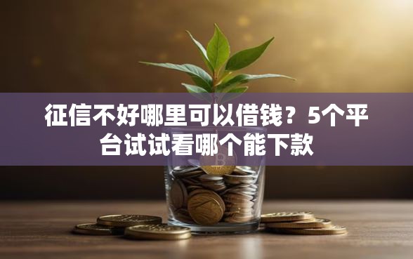 征信不好哪里可以借钱？5个平台试试看哪个能下款