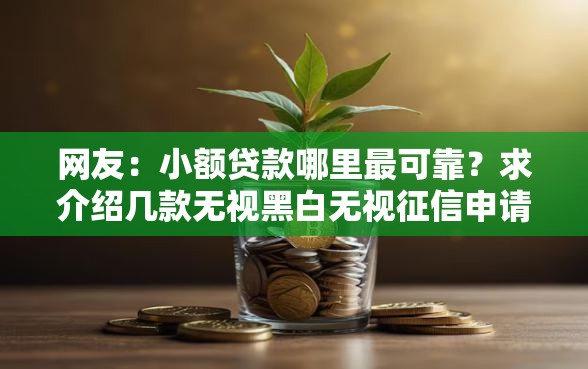 网友：小额贷款哪里最可靠？求介绍几款无视黑白无视征信申请就下款的平台