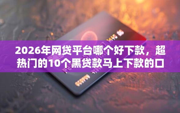 2026年网贷平台哪个好下款,超热门的10个黑贷款马上下款的口子2025推荐 2026年网贷平台哪个好下款,超热门的10个黑贷款马上下款的口子2025推荐