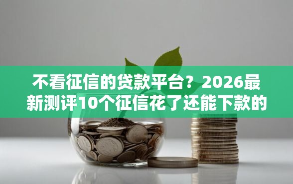 不看征信的贷款平台？2026最新测评10个征信花了还能下款的几千小额度平台