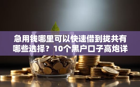 急用钱哪里可以快速借到拢共有哪些选择？10个黑户口子高炮详解