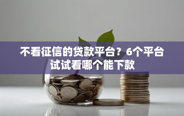 不看征信的贷款平台？6个平台试试看哪个能下款