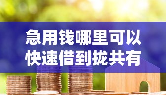 急用钱哪里可以快速借到拢共有哪些选择？9个花户借款平台容易通过详解