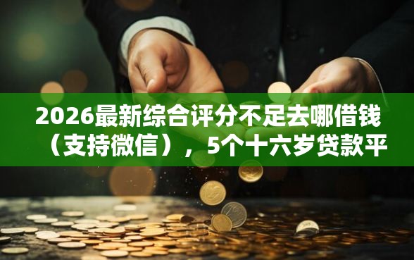 2026最新综合评分不足去哪借钱（支持微信），5个十六岁贷款平台无私分享