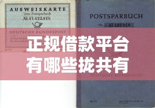 正规借款平台有哪些拢共有哪些选择？7个高风险下款口子详解