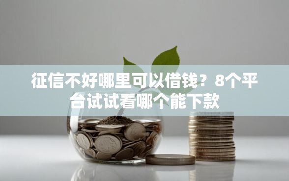 征信不好哪里可以借钱？8个平台试试看哪个能下款