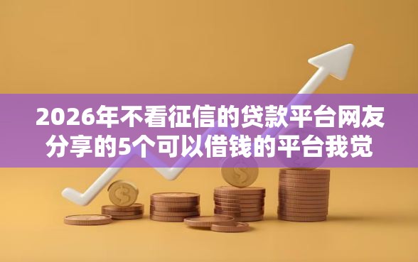 2026年不看征信的贷款平台网友分享的5个可以借钱的平台我觉得不错！