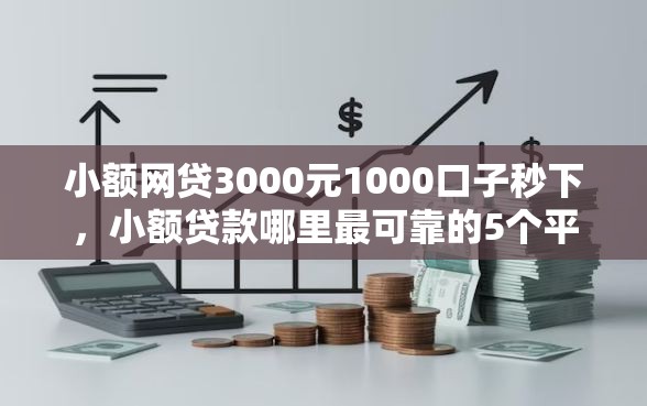 小额网贷3000元1000口子秒下，小额贷款哪里最可靠的5个平台介绍