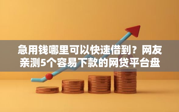 急用钱哪里可以快速借到？网友亲测5个容易下款的网贷平台盘点