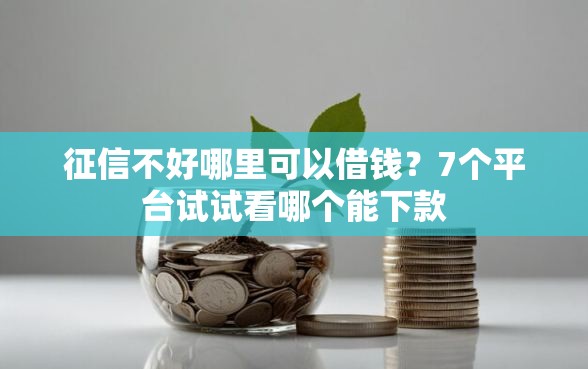 征信不好哪里可以借钱?7个平台试试看哪个能下款 征信不好哪里可以借钱?7个平台试试看哪个能下款
