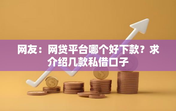 网友：网贷平台哪个好下款？求介绍几款私借口子