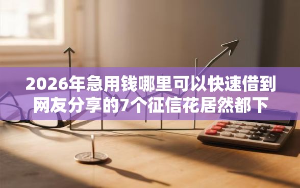2026年急用钱哪里可以快速借到网友分享的7个征信花居然都下款的平台我觉得不错！