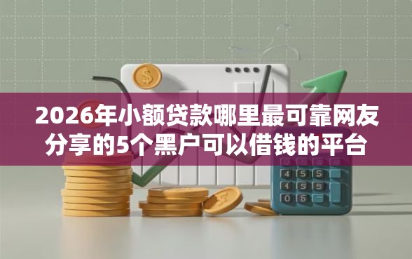 2026年小额贷款哪里最可靠网友分享的5个黑户可以借钱的平台我觉得不错！