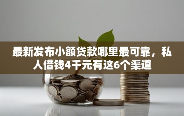 最新发布小额贷款哪里最可靠，私人借钱4千元有这6个渠道