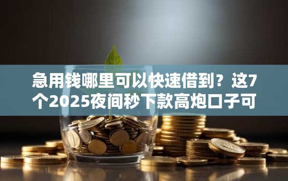 急用钱哪里可以快速借到?这7个2025夜间秒下款高炮口子可以试试 急用钱哪里可以快速借到?这7个2025夜间秒下款高炮口子可以试试