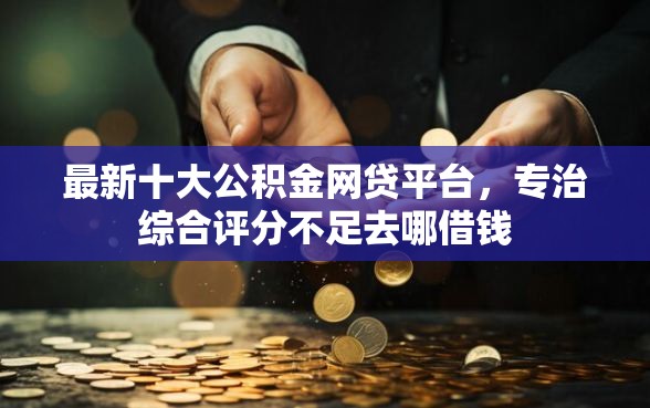 最新十大公积金网贷平台，专治综合评分不足去哪借钱