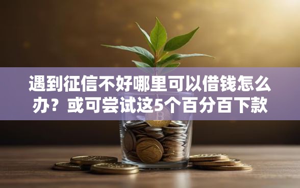 遇到征信不好哪里可以借钱怎么办?或可尝试这5个百分百下款无视黑白户网贷软件 遇到征信不好哪里可以借钱怎么办?或可尝试这5个百分百下款无视黑白户网贷软件