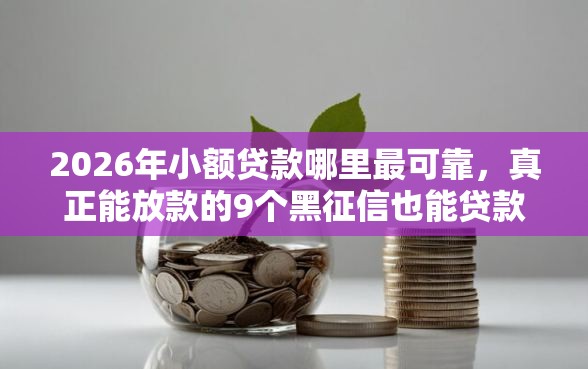 2026年小额贷款哪里最可靠，真正能放款的9个黑征信也能贷款的网贷平台推荐