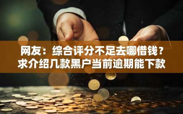 网友：综合评分不足去哪借钱？求介绍几款黑户当前逾期能下款的口子
