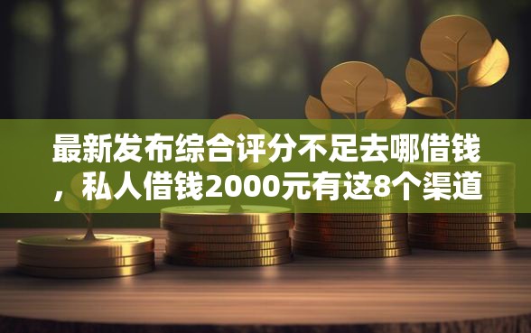 最新发布综合评分不足去哪借钱，私人借钱2000元有这8个渠道