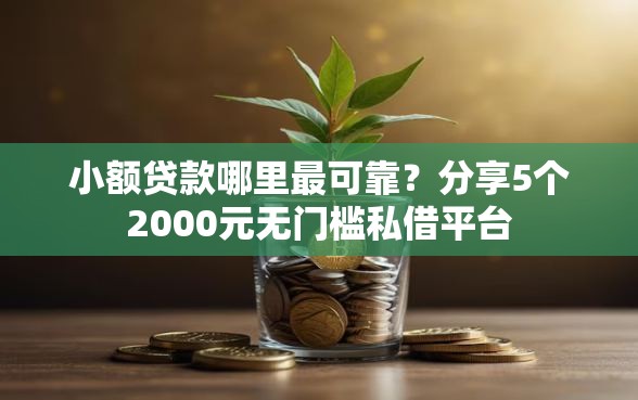 小额贷款哪里最可靠？分享5个2000元无门槛私借平台