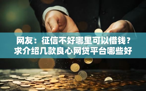 网友：征信不好哪里可以借钱？求介绍几款良心网贷平台哪些好