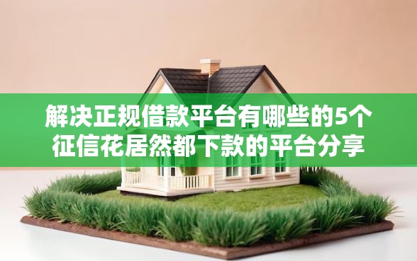 解决正规借款平台有哪些的5个征信花居然都下款的平台分享