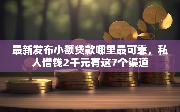 最新发布小额贷款哪里最可靠，私人借钱2千元有这7个渠道