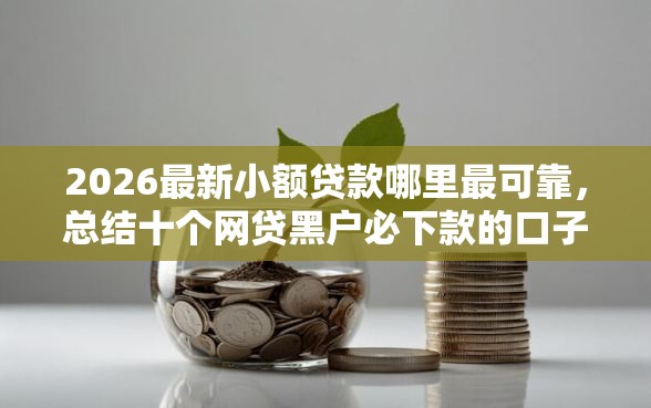 2026最新小额贷款哪里最可靠，总结十个网贷黑户必下款的口子！