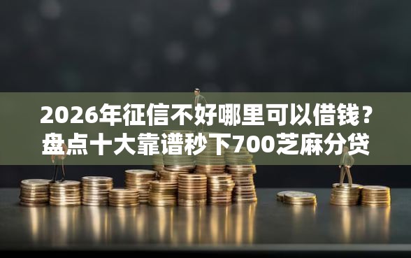 2026年征信不好哪里可以借钱？盘点十大靠谱秒下700芝麻分贷款口子