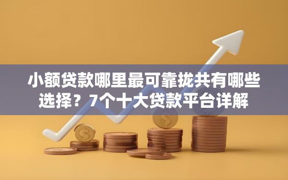 小额贷款哪里最可靠拢共有哪些选择？7个十大贷款平台详解