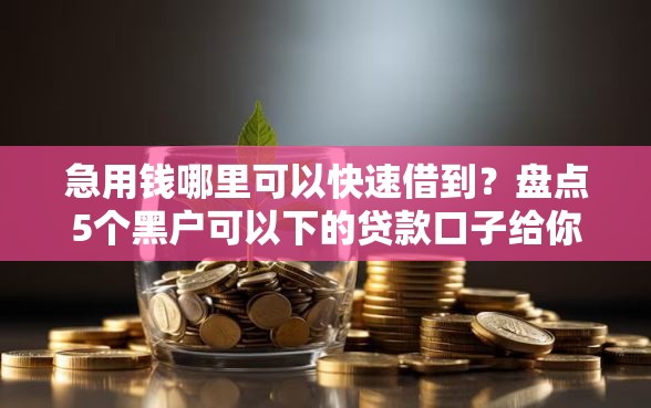 急用钱哪里可以快速借到？盘点5个黑户可以下的贷款口子给你参考