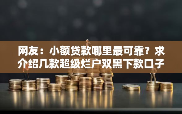 网友：小额贷款哪里最可靠？求介绍几款超级烂户双黑下款口子