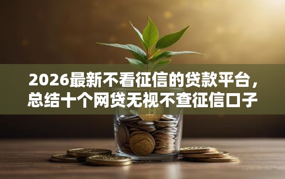 2026最新不看征信的贷款平台,总结十个网贷无视不查征信口子! 2026最新不看征信的贷款平台,总结十个网贷无视不查征信口子!