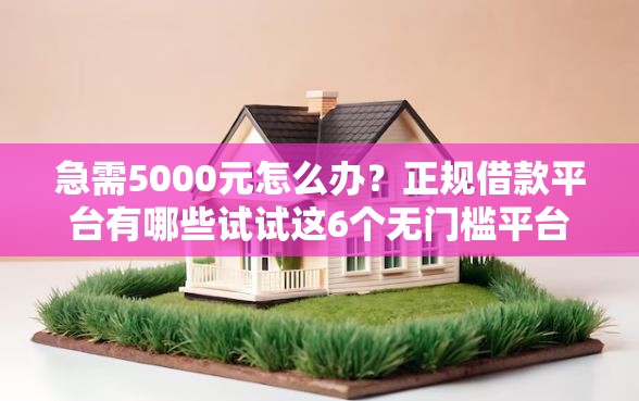 急需5000元怎么办？正规借款平台有哪些试试这6个无门槛平台