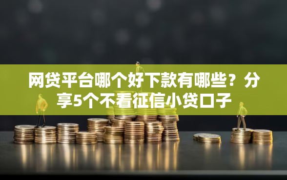网贷平台哪个好下款有哪些？分享5个不看征信小贷口子