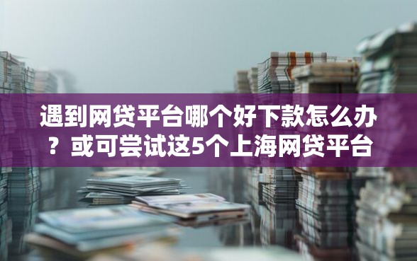 遇到网贷平台哪个好下款怎么办？或可尝试这5个上海网贷平台